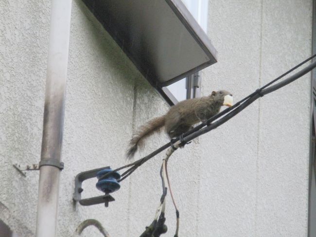 最近増えてしまっているそうですが･･･