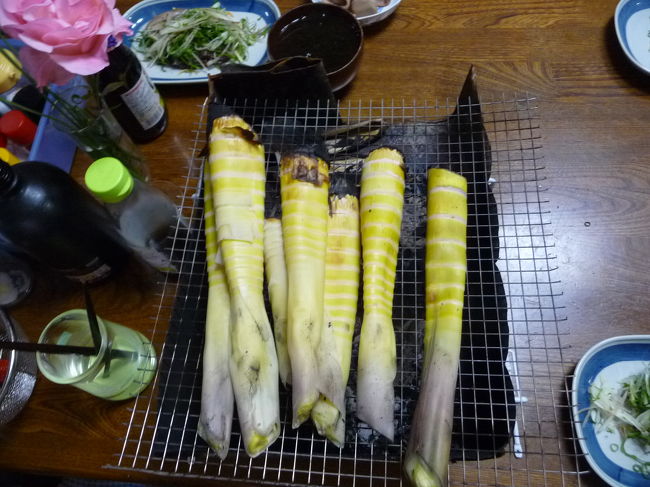 次回は破竹物語です・・・最後までごらん頂感謝します・・・。・。・。・。<br /><br />薪のお買い上げさんのブログもよろしくです・・・<br /><br />http://jeepgogo.blog32.fc2.com/