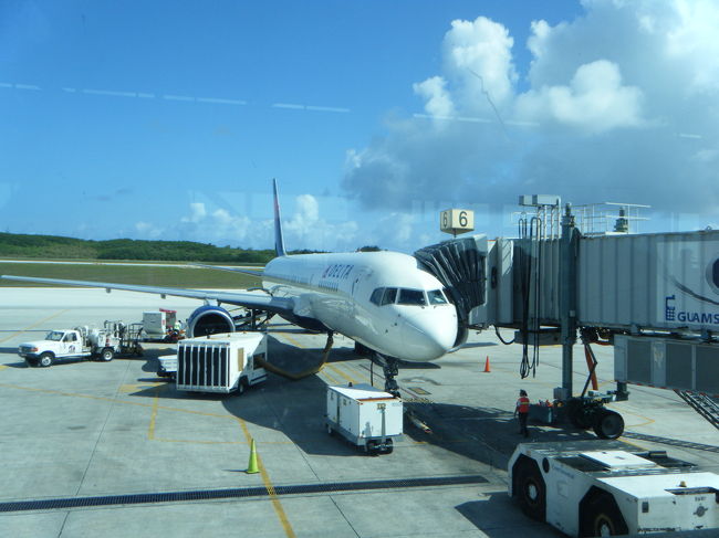 この飛行機で帰ります。