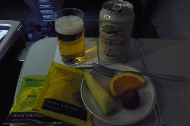 ビールをいただいたら、　間もなくフランクフルト着、定刻より少し早めに。