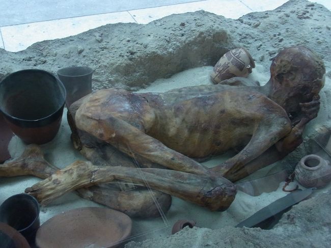 こちらも見逃せないミイラ！！