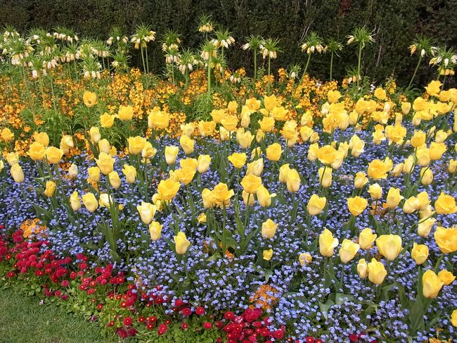 こちらも美しいお花畑♪