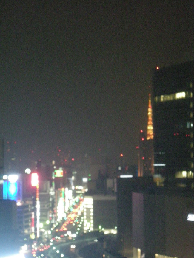 部屋の窓から東京タワーが見えました！