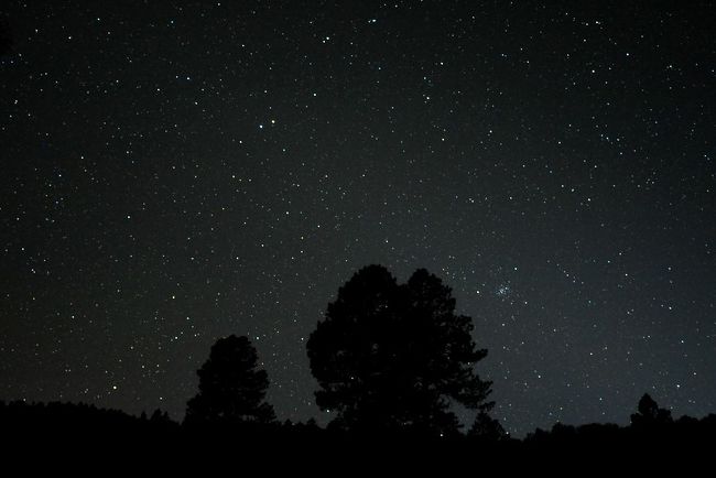 暗くなって･･ビーナスが沈んだあとの西南西のそらです。右の木の右側に･･かに座のそばのプレセベ星団が見えます。