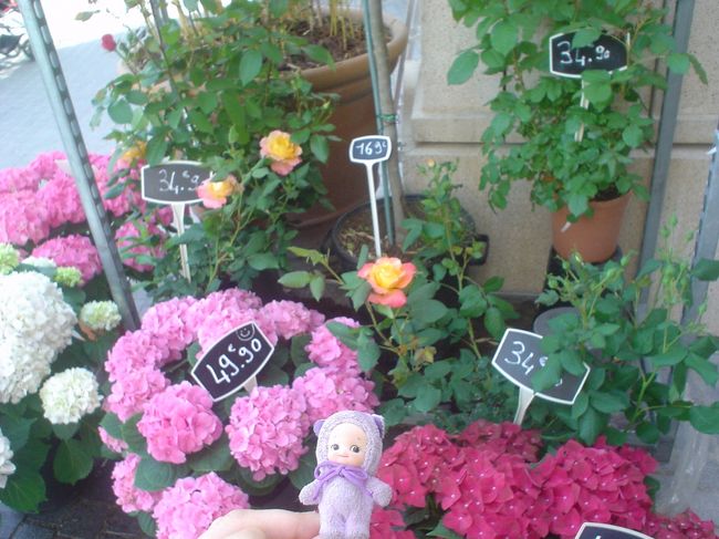 お花屋さんにて記念写真。