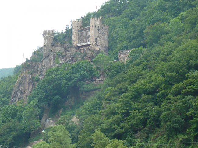 両岸には次々中世のお城が。