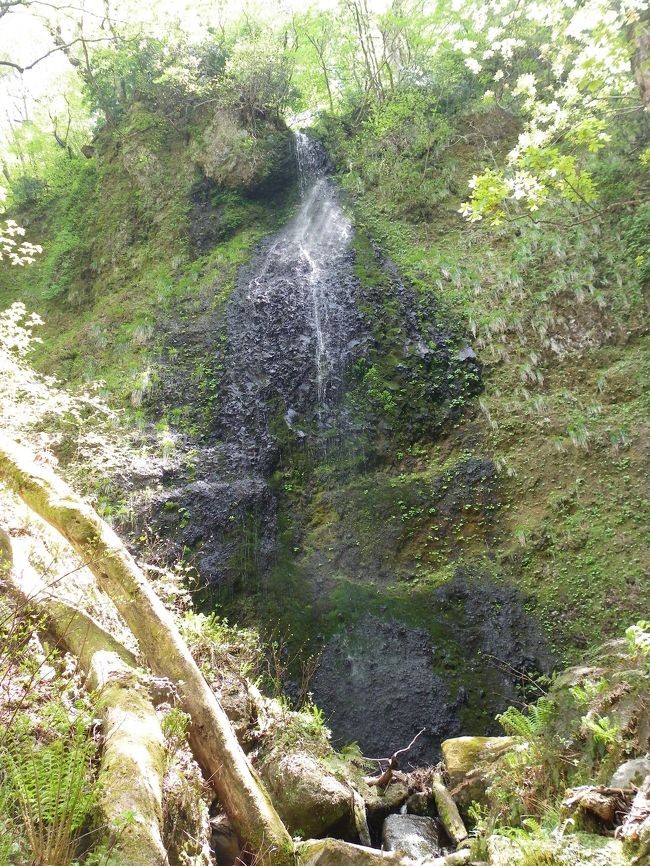 桂の滝 大自然が残る素晴らしい滝 10年5月 兵庫県北部の滝めぐり その８ 湯村温泉 村岡 兵庫県 の旅行記 ブログ By Joecoolさん フォートラベル