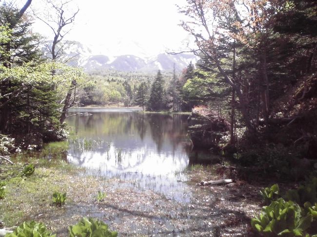 知床五湖の二湖。