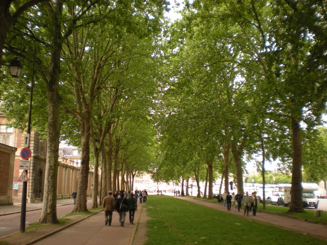 　緑が本当にきれい、歩いていても気持ちがいい。