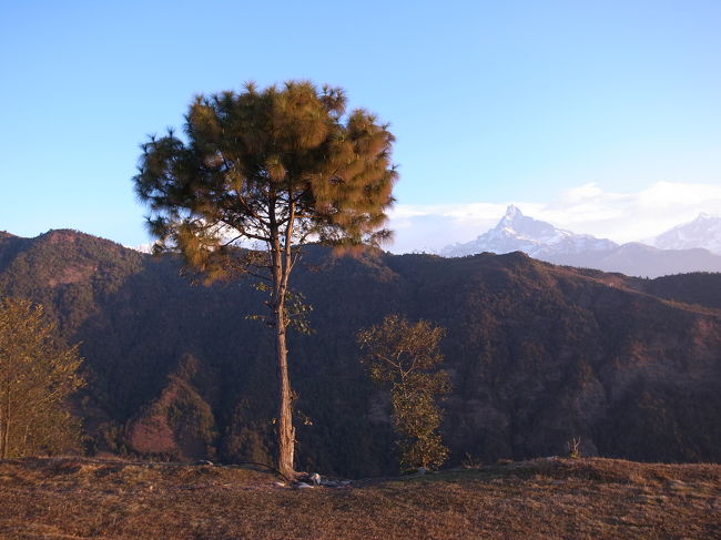 朝のすんだ空気のおかげで、とてもきれいな山がみられました！