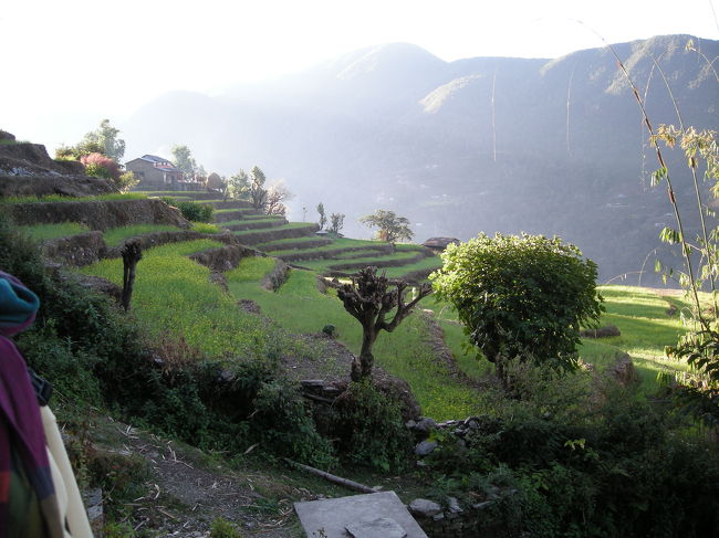 どんどこ登ります。