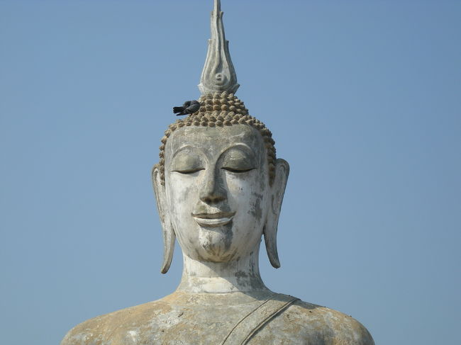 素敵な微笑み。<br /><br />鳥もとりこに。