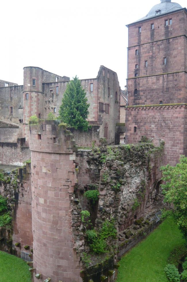 城壁の厚み！　堅固です。