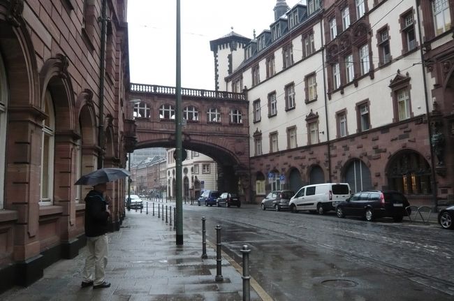 雨なのでいつもより、人も少なく、しっとり！　しています。　以前ツアーでここに来た覚えが・・・