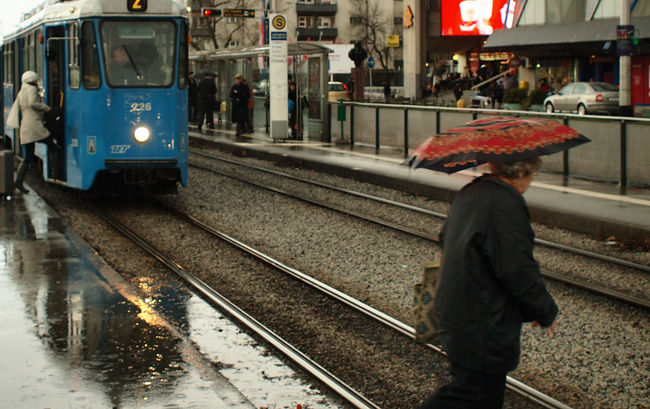傘が必要なほどの雨です。無理やり横断。