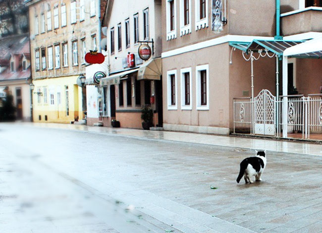 こんどはどこ行こかな。。雨いやや。