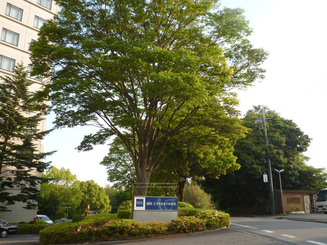 韓国経由なので成田発は9時<br />集合は7時と早いので前泊しました<br />ツアーの皆さんも前泊が多かったみたいです