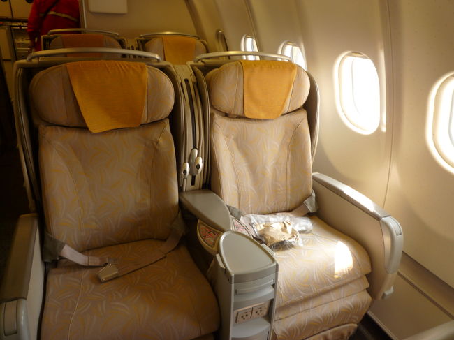 ソウルまでの機材はA330-300