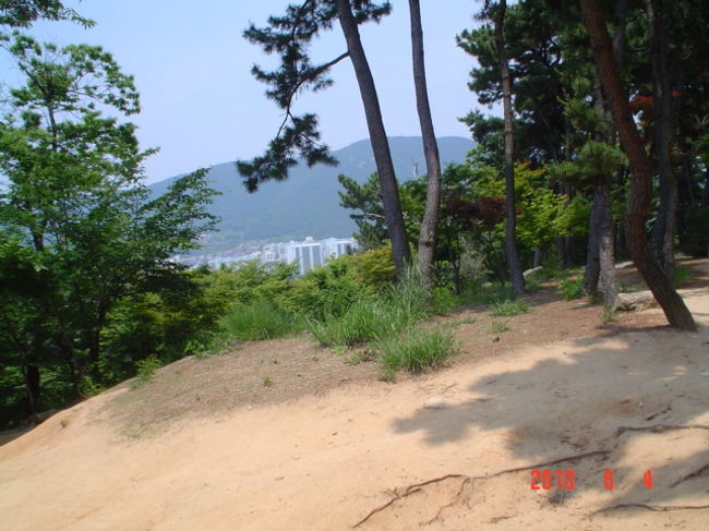 初めての釜山旅行２．チャガルチ市場での朝食、金海市バス旅行、国際ターミナル、済州家