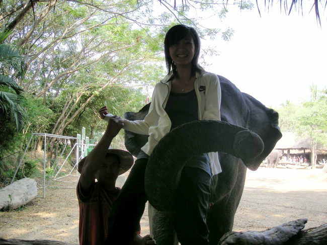 2日目。<br /><br />maetaman elephant campへ！<br />着いたときには、象のショーは終わってて<br />最後に観客に紛れて象にタッチ。<br /><br />鼻で持ち上げられてしまいました。