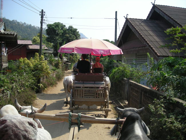 象に乗って山を登って降りたら<br />今度は水牛にチェンジ。<br /><br />馬車みたいなのに乗って引っ張られました。<br />通ったのは村の中でした。<br />運転していたおばちゃんが<br />「スズキ！（右）ホンダ！（左）」と牛を紹介してくれました。<br />途中追い抜かされたら「トヨタ！」と言ってました。