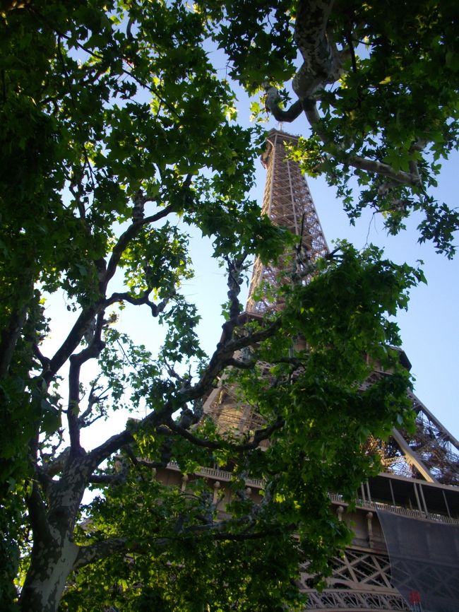 部屋に荷物を置いたら、観光へ行きましょう。<br />時は、既に夕方。<br />初日に行く所は、狭い範囲に絞って観光。<br />エッフェル塔周辺を散策です。