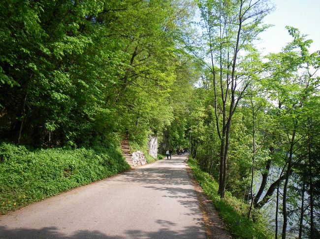 ブレッド湖の周囲は約6km。<br /><br />バカンス客が歩いたり、走ったり･･･