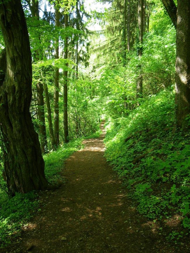 ブレッド湖の遊歩道からブレッド城に上がってゆく山道。<br /><br />バカンス客の太ったおばちゃんが汗をかきかき上っていた。