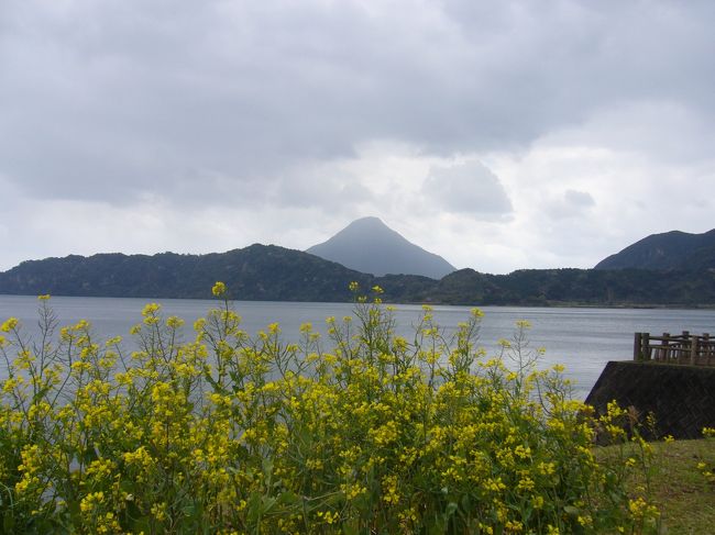 菜の花、そして池田湖の奥に開聞岳。<br /><br />ちょうどこの時期は菜の花が綺麗に見れる時なのだが<br />天気が悪いのが本当に残念。