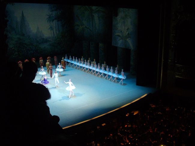 素晴らしい演目で、感動しました。<br />フィナーレでは、ブラボォーの歓声が劇場内に響きます。