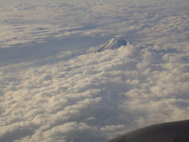 成田→伊丹への飛行中、富士山を眺める事ができました。<br />何か良い事あるかな。<br /><br /><br /><br /><br /><br /><br /><br /><br /><br />フランス、ベルギーは、とても素敵な滞在となりました。<br />