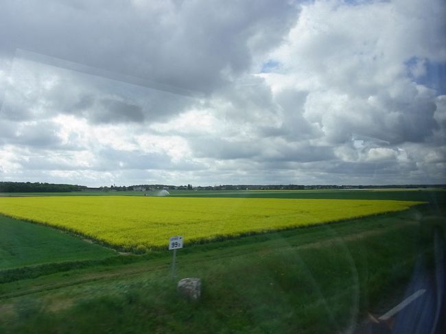 ちょうど菜の花が満開の季節。<br />バスの車窓が見渡す限り黄色でした(´-｀)