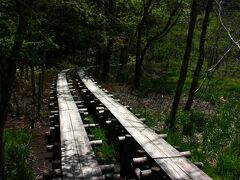 ウェストン祭をあとにし、いつもは通らない木道を歩いて河童橋まで向かいます。