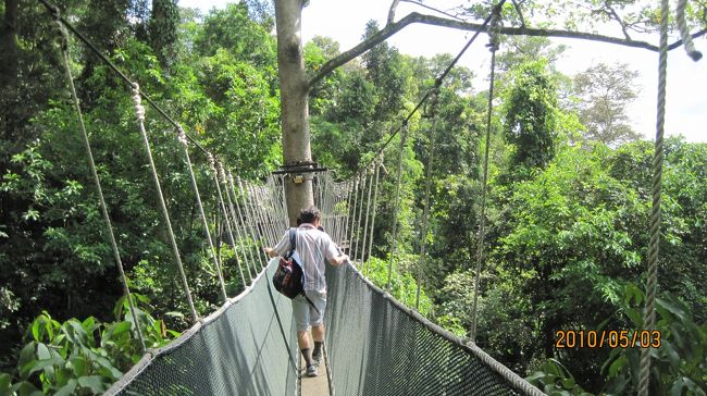 ポーリン温泉。竹林、吊り橋あり