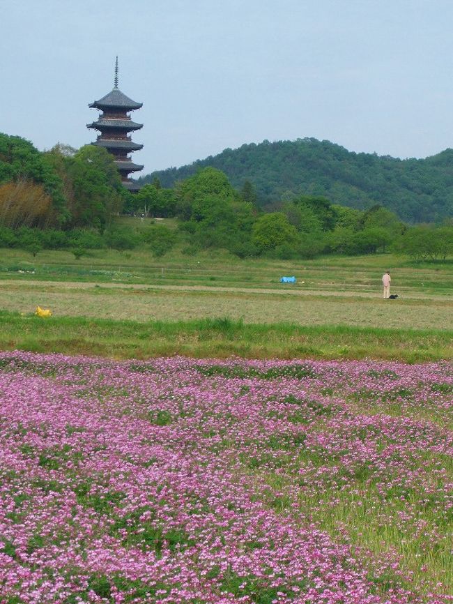 晴れの国岡山 花と寺の旅 備中国分寺 総社 吉備路 岡山県 の旅行記 ブログ By 風遊さん フォートラベル 晴れの国岡山 花と寺の旅 備中国分寺 総社 吉備路 岡山県 の旅行記 ブログ By 風遊さん フォートラベル