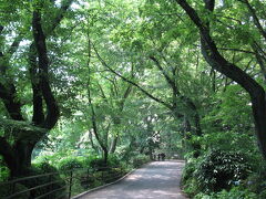 そのＴＶで、香取・・ぢゃない、柳沢慎吾さんが紹介していた小田原城址公園にやってきました。

木々の緑が涼しげですが、この日は梅雨の晴れ間の真夏日！