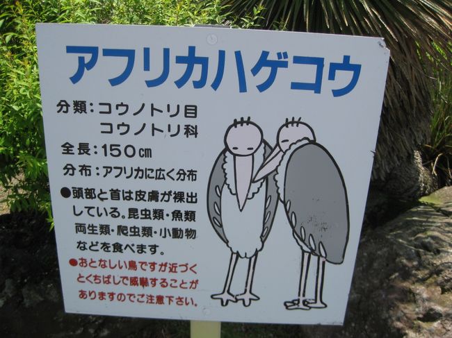 3人合計226歳の旅 伊豆高原へgo その3 伊豆高原 静岡県 の旅行記 ブログ By ちょびれさん フォートラベル