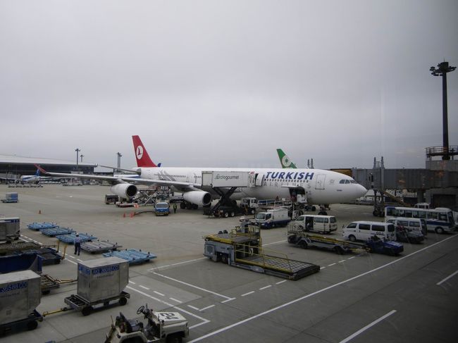 ☆1日目☆2010.5.26<br /><br />エジプト・カイロへ！長いフライトです。<br />今回は初のトルコ航空を利用しました。なので、イスタンブールで乗り継いでカイロへ向かいます。<br />トルコ航空の飛行機はとてもリッチ♪というのは、1人1人にポーチが配られて、その中に歯ブラシや靴下や耳栓などが入っているんです。<br />昔は他の航空会社も配ってた気がするけど、最近はもらえないから、それからスリッパも！とても便利でした♪<br />水も1人1本、ペットボトルが配られ、機内は、スカイブルー色で爽やかだったし、なんだかとっても気分がよかったです(笑)<br /><br />だけど、13：35発でイスタンブールまでは約12時間半＞＜<br />今回あまり寝れず、映画を観たりゲームをしたりしていましたがすごく遠く感じてしまいました。おまけに隣に座っていたおばあさんの香水がきつくて気持ち悪くなったし…不穏のスタートでした（＾＾；<br /><br />ようやく到着した、イスタンブールのアタテュルク空港。カイロ行きの飛行機出発まで4時間も間があいていたのですが、到着が1時間くらい遅れたのでラッキー♪と思っていたのも束の間。<br />逆に、カイロ行きの飛行機も1時間出発が遅れました（＾＾；　…不運(笑)<br />イスタンブールに到着したのは20時（日本は夜中の2時）くらい。<br />もう眠くて眠くて、飛行機であまり眠れなかったので空港で待っていた時は、眠さのあまり気持ち悪くて明日から大丈夫かなぁって本当に不安になってました。