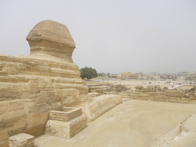 スフィンクスといえば、目の先には…<br />っていうのが、日本では誰でも知っている有名な話ですが、ヒーマさんはガイドになるまでケンタッキーの事なんて気にもしたことがなかったらしく、日本人のお客さんを初めてここに連れてきた時、何よりも先に「ケンタッキーはどこ〜？」って聞かれてすごい衝撃を受けたそうです(笑)<br />だから「日本人はおもしろいね〜」って言ってました。<br /><br />で、ちゃんと目の前にあるのか見ましたが、遠くにやっぱりありました(笑)<br />そして、スフィンクスのすぐ前は普通の街でした！