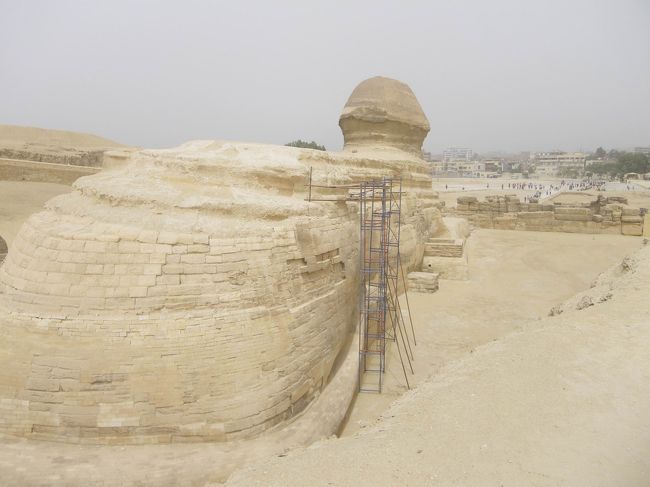 せっかくなので、スフィンクスのお尻も拝んできました♪<br />ずいぶんまぁるいなぁ〜(笑)<br />後ろ姿はけっこうかわいいです♪