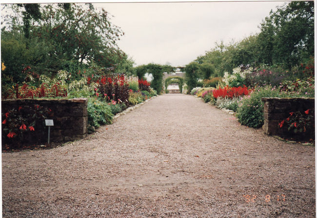 お庭が広くて、色とりどりの花が咲いてきれいでした。