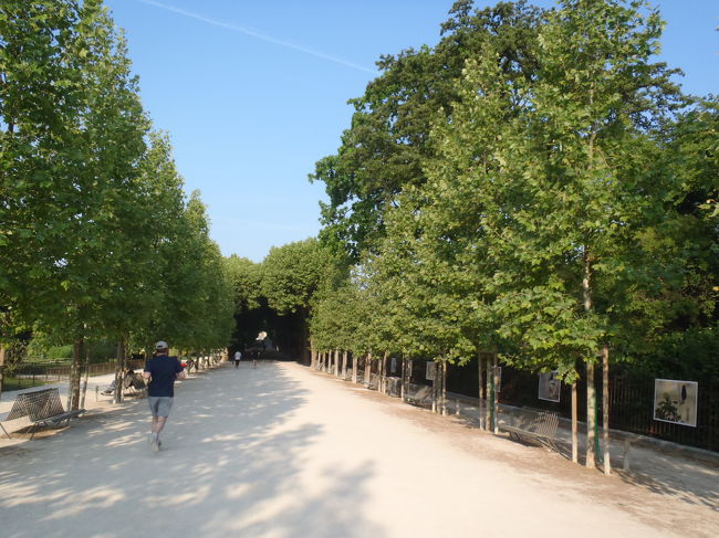 　セーヌ河にかかるPont d'Austerlitz（オーステルリッツ橋）を渡ると、公園ではなくJardin des Plantes（植物園）に出くわす。<br />　土曜の朝、ジョギングに励む市民が多い。<br /><br />　見上げれば、飛行機も元気に飛んでます！？