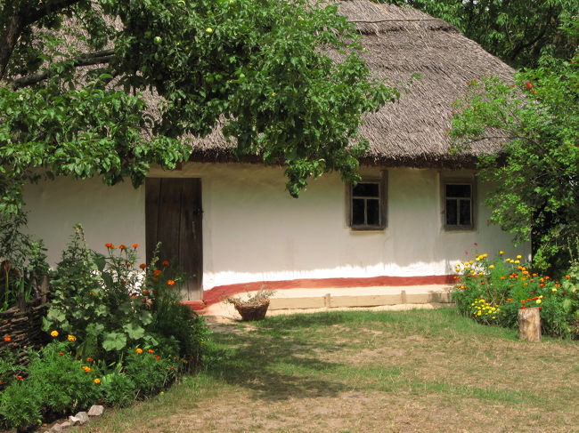 可愛らしい家を庭の花と