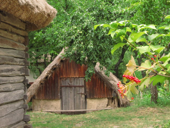 貯蔵庫と赤い実