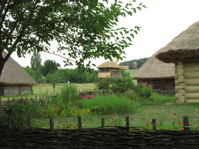 庭の花を含め、いくつも家が並んでるところから撮影