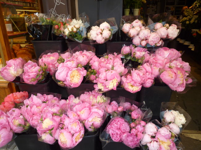 お花屋さん<br /><br />牡丹の種類でしょうか　美しいです<br />パリの人は家にお花を絶やしません