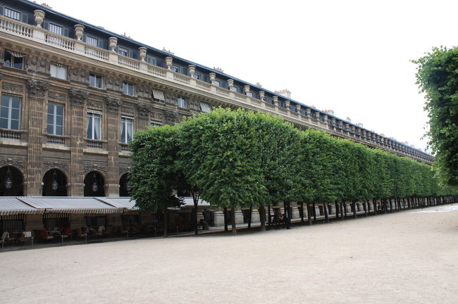 ルーブル宮殿の北隣に位置するパレロワイヤル<br /><br />全体を撮るのは難しくこの樹木は次の写真の両端のものです<br /><br />もともとはルイ13世の宰相リシュリューの城館でしたが彼の死後、主君に寄贈されました<br /><br />ルイ13世の死後1643年に当時5歳のルイ14世がルーブル宮殿から移り住んだことでパレ・ロワイヤル（王宮）と呼ばれるようになりました<br /><br />その後オルレアン家の手に渡りルイ14世の弟オルレアン公フィリップ1世が住むようになりました<br /><br />