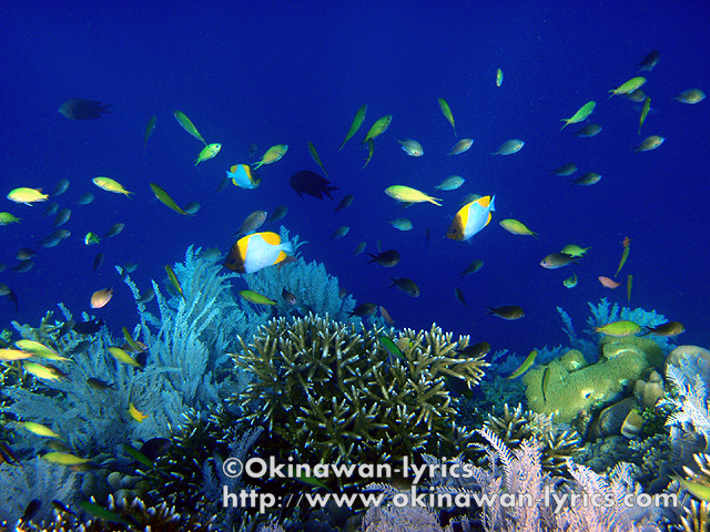 宿泊したLorenso Cottagesの前から、簡単にドロップオフTimurまで泳いで行けます。<br /><br />https://www.okinawan-lyrics.com/2010/06/pulau-bunaken.html