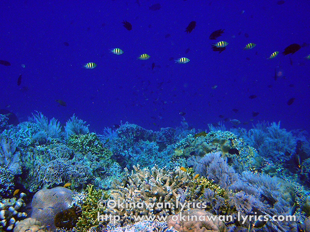 シラデン島も最高！！<br /><br />https://www.okinawan-lyrics.com/2010/06/pulau-bunaken.html