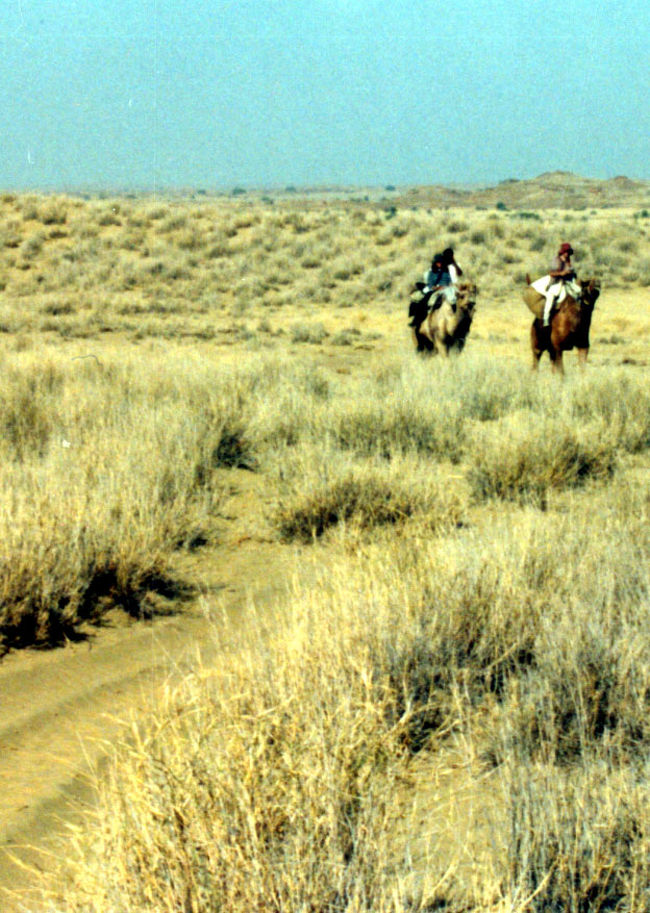 街からのびる車のわだちに沿って、ラクダが動き出した。<br /><br />風景は、あっという間に荒野へと変貌していく。<br />何処までも何処までも、乾ききった世界が広がる。
